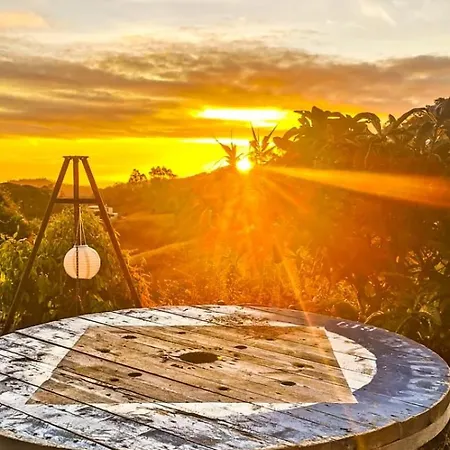 Nature Sanctuary, A Semi-detached House On An Ecological & Sustainable Farm Daire Santa Maria de Guia de Gran Canaria