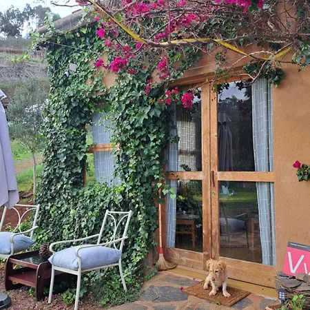 Nature Sanctuary, A Semi-detached House On An Ecological & Sustainable Farm Daire Santa Maria de Guia de Gran Canaria